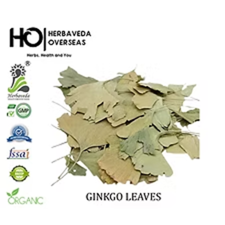 Activated Charcoal 2